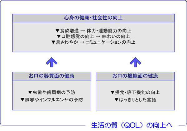 お口の健康と生活の質向上の関係